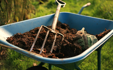 Vegetable Soil Conditioners