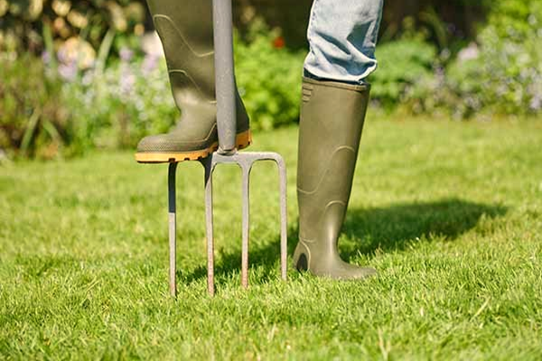 Ways to Aerate the Lawn