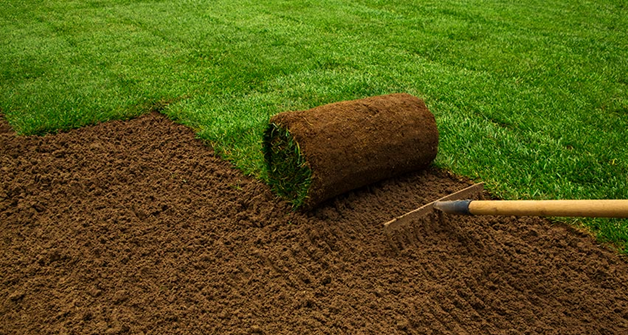 Ways to Lay a Lawn with Turfs