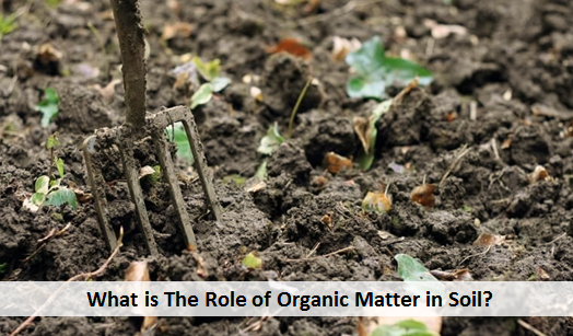 What is The Role of Organic Matter in Soil?What is The Role of Organic Matter in Soil?What is The Role of Organic Matter in Soil?