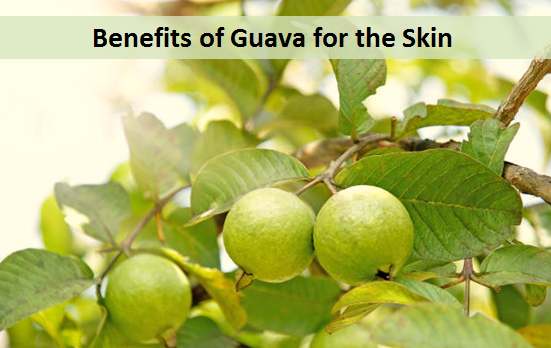 Benefits of Guava for the Skin