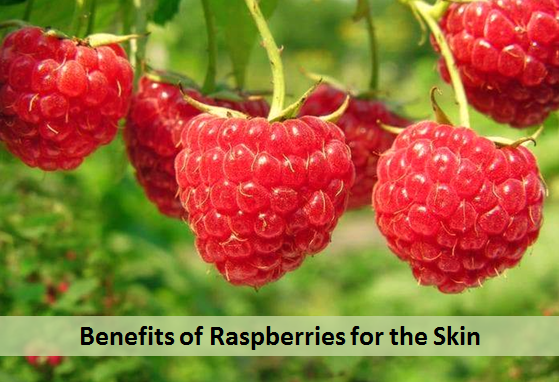 Benefits of Raspberries for the Skin