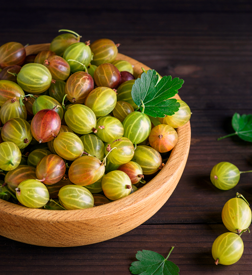 Health Benefits of Gooseberry