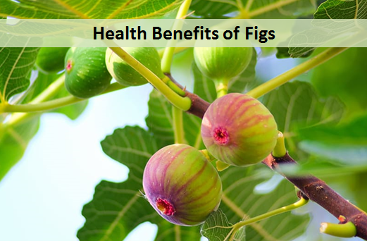Tips for Taking Care of Fig Trees