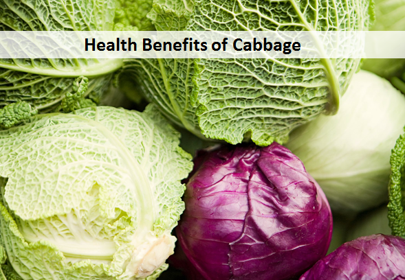 Health Benefits of Cabbage