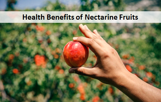 Health Benefits of Nectarine Fruits