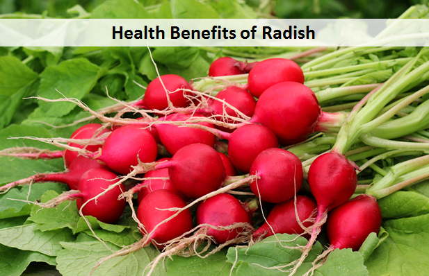 Health Benefits of Radish