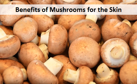 Benefits of Mushrooms for the Skin