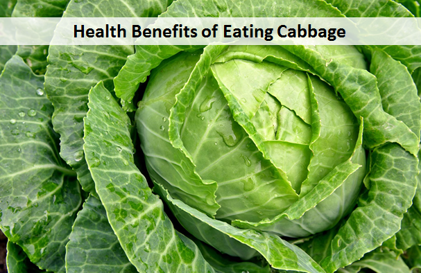 Health Benefits of Eating Cabbage