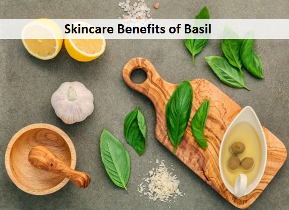 Skincare Benefits of Basil